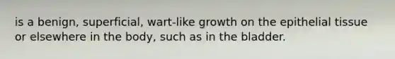 is a benign, superficial, wart-like growth on the <a href='https://www.questionai.com/knowledge/k7dms5lrVY-epithelial-tissue' class='anchor-knowledge'>epithelial tissue</a> or elsewhere in the body, such as in the bladder.