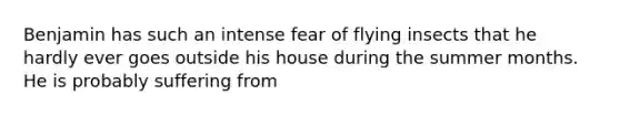 Benjamin has such an intense fear of flying insects that he hardly ever goes outside his house during the summer months. He is probably suffering from