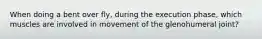 When doing a bent over fly, during the execution phase, which muscles are involved in movement of the glenohumeral joint?