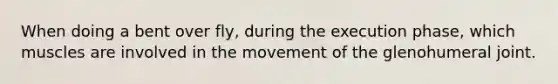 When doing a bent over fly, during the execution phase, which muscles are involved in the movement of the glenohumeral joint.