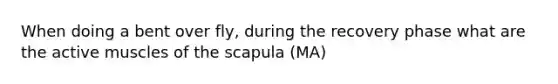 When doing a bent over fly, during the recovery phase what are the active muscles of the scapula (MA)