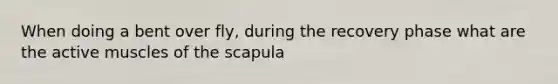 When doing a bent over fly, during the recovery phase what are the active muscles of the scapula