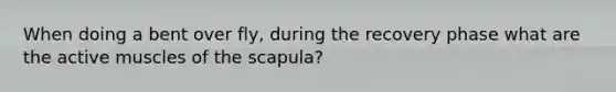 When doing a bent over fly, during the recovery phase what are the active muscles of the scapula?