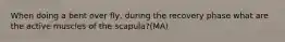 When doing a bent over fly, during the recovery phase what are the active muscles of the scapula?(MA)