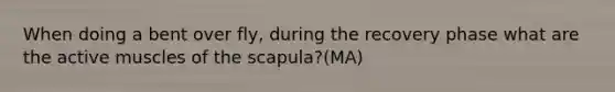 When doing a bent over fly, during the recovery phase what are the active muscles of the scapula?(MA)