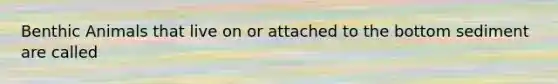 Benthic Animals that live on or attached to the bottom sediment are called