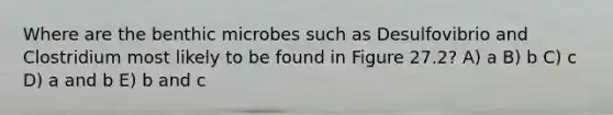 Where are the benthic microbes such as Desulfovibrio and Clostridium most likely to be found in Figure 27.2? A) a B) b C) c D) a and b E) b and c