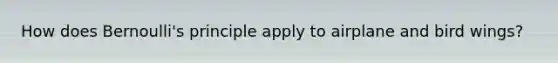 How does Bernoulli's principle apply to airplane and bird wings?