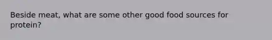 Beside meat, what are some other good food sources for protein?
