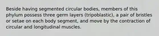 Beside having segmented circular bodies, members of this phylum possess three germ layers (tripoblastic), a pair of bristles or setae on each body segment, and move by the contraction of circular and longitudinal muscles.