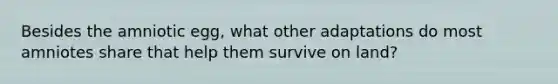 Besides the amniotic egg, what other adaptations do most amniotes share that help them survive on land?