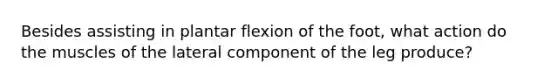 Besides assisting in plantar flexion of the foot, what action do the muscles of the lateral component of the leg produce?