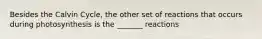 Besides the Calvin Cycle, the other set of reactions that occurs during photosynthesis is the _______ reactions
