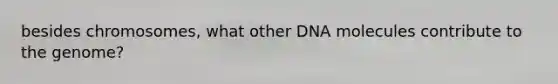 besides chromosomes, what other DNA molecules contribute to the genome?