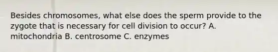 Besides chromosomes, what else does the sperm provide to the zygote that is necessary for cell division to occur? A. mitochondria B. centrosome C. enzymes