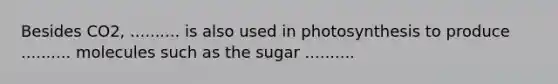 Besides CO2, .......... is also used in photosynthesis to produce .......... molecules such as the sugar ..........