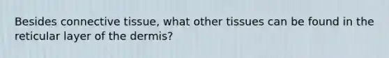 Besides connective tissue, what other tissues can be found in the reticular layer of the dermis?