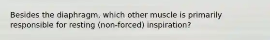 Besides the diaphragm, which other muscle is primarily responsible for resting (non-forced) inspiration?