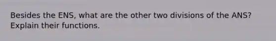 Besides the ENS, what are the other two divisions of the ANS? Explain their functions.