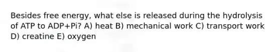 Besides free energy, what else is released during the hydrolysis of ATP to ADP+Pi? A) heat B) mechanical work C) transport work D) creatine E) oxygen