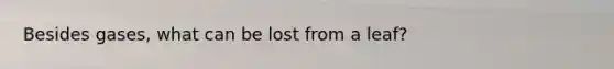 Besides gases, what can be lost from a leaf?