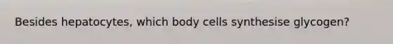 Besides hepatocytes, which body cells synthesise glycogen?