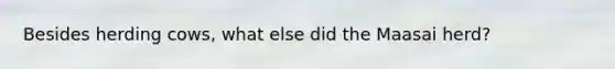 Besides herding cows, what else did the Maasai herd?