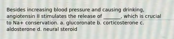 Besides increasing blood pressure and causing drinking, angiotensin II stimulates the release of _______, which is crucial to Na+ conservation. a. glucoronate b. corticosterone c. aldosterone d. neural steroid