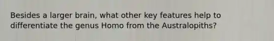 Besides a larger brain, what other key features help to differentiate the genus Homo from the Australopiths?