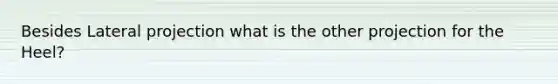 Besides Lateral projection what is the other projection for the Heel?