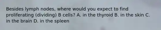 Besides lymph nodes, where would you expect to find proliferating (dividing) B cells? A. in the thyroid B. in the skin C. in the brain D. in the spleen
