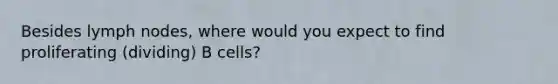 Besides lymph nodes, where would you expect to find proliferating (dividing) B cells?