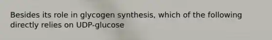 Besides its role in glycogen synthesis, which of the following directly relies on UDP-glucose