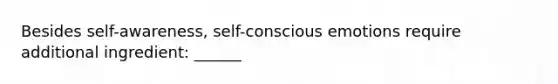 Besides self-awareness, self-conscious emotions require additional ingredient: ______