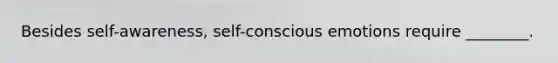 Besides self-awareness, self-conscious emotions require ________.