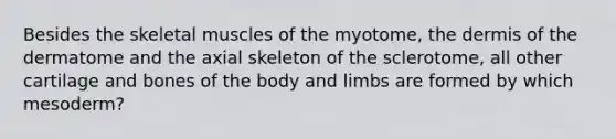 Besides the skeletal muscles of the myotome, the dermis of the dermatome and the axial skeleton of the sclerotome, all other cartilage and bones of the body and limbs are formed by which mesoderm?