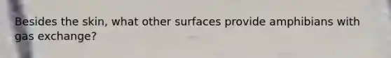 Besides the skin, what other surfaces provide amphibians with gas exchange?