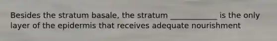 Besides the stratum basale, the stratum ____________ is the only layer of the epidermis that receives adequate nourishment