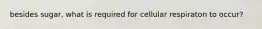 besides sugar, what is required for cellular respiraton to occur?