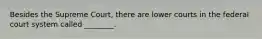 Besides the Supreme Court, there are lower courts in the federal court system called ________.