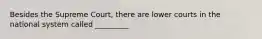 Besides the Supreme Court, there are lower courts in the national system called _________