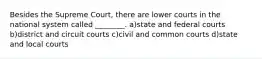 Besides the Supreme Court, there are lower courts in the national system called ________. a)state and federal courts b)district and circuit courts c)civil and common courts d)state and local courts