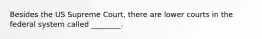 Besides the US Supreme Court, there are lower courts in the federal system called ________.