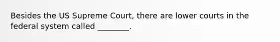 Besides the US Supreme Court, there are lower courts in the federal system called ________.