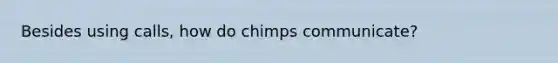 Besides using calls, how do chimps communicate?