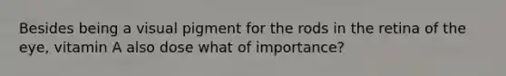 Besides being a visual pigment for the rods in the retina of the eye, vitamin A also dose what of importance?
