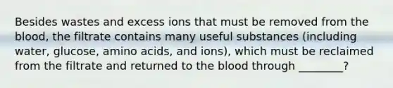 Besides wastes and excess ions that must be removed from the blood, the filtrate contains many useful substances (including water, glucose, amino acids, and ions), which must be reclaimed from the filtrate and returned to the blood through ________?