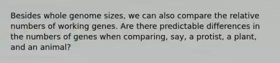 Besides whole genome sizes, we can also compare the relative numbers of working genes. Are there predictable differences in the numbers of genes when comparing, say, a protist, a plant, and an animal?