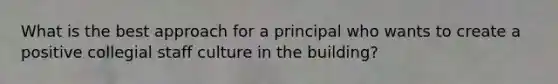 What is the best approach for a principal who wants to create a positive collegial staff culture in the building?