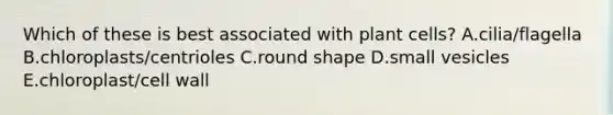 Which of these is best associated with plant cells? A.cilia/flagella B.chloroplasts/centrioles C.round shape D.small vesicles E.chloroplast/cell wall